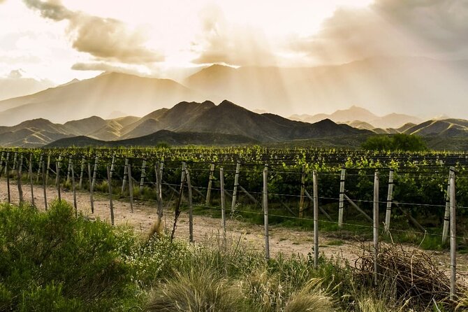 Ruta de Sabores Mendoza {activities-custom-search}